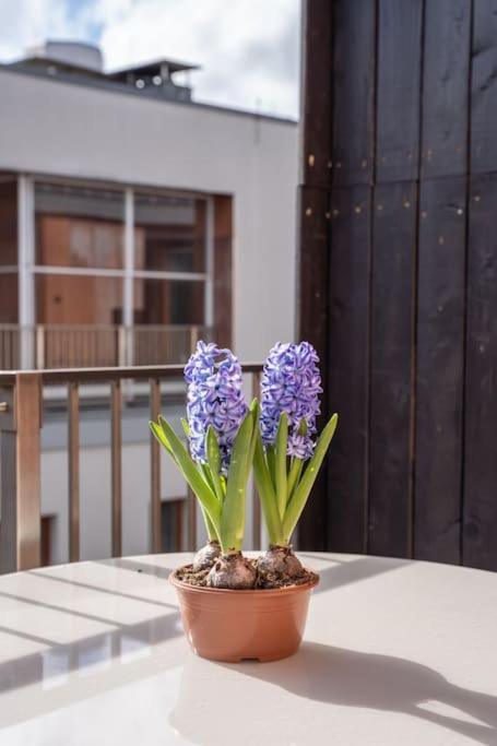 New Loft With Rooftop Terrace In The Old Town Riga Bagian luar foto